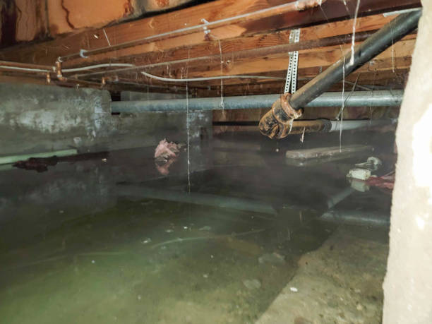 Trusted Beechwood, MI Water damage restoration Experts