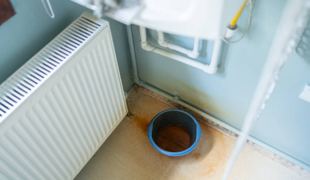 Best Emergency water damage restoration  in Beechwood, MI