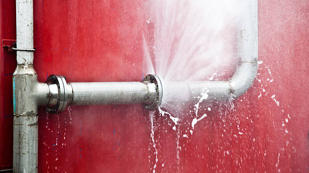 Best Mold removal after water damage  in Beechwood, MI